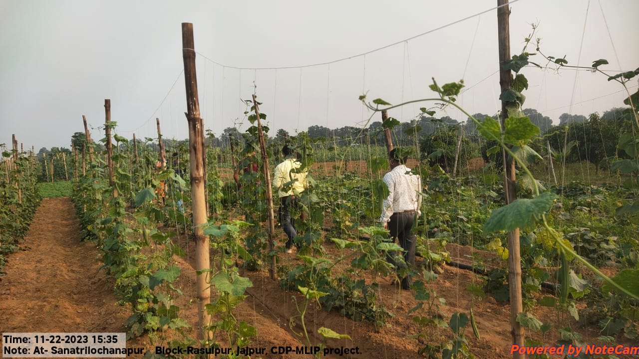 bootstrap carousel example